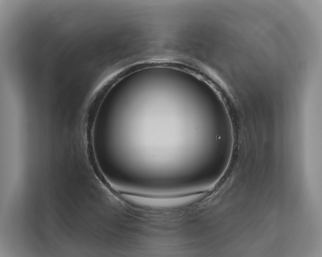X0000110761456200906151256