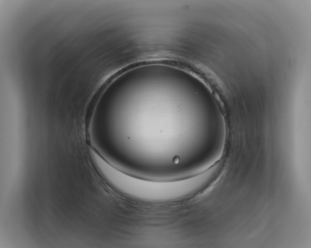 X0000110761457200906151256