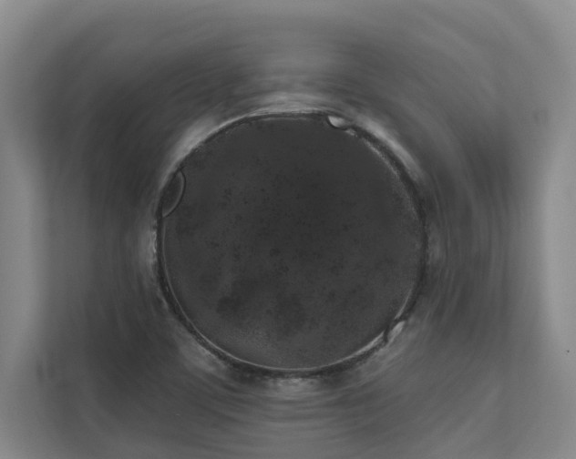 X0000110761459200906151256