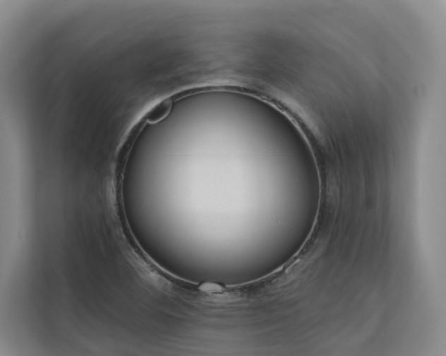 X0000110761460200906151256