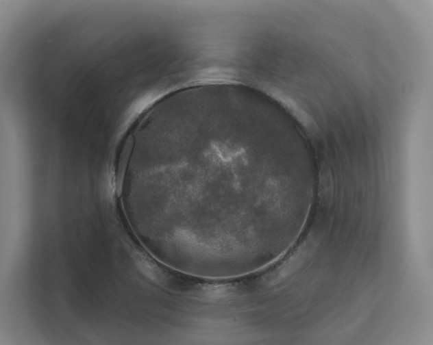 X0000110761461200906151256