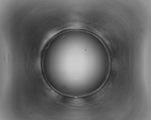 X0000110761464200906151256