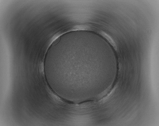 X0000110761465200906151256
