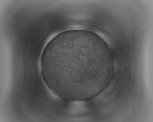 X0000110761466200906151256