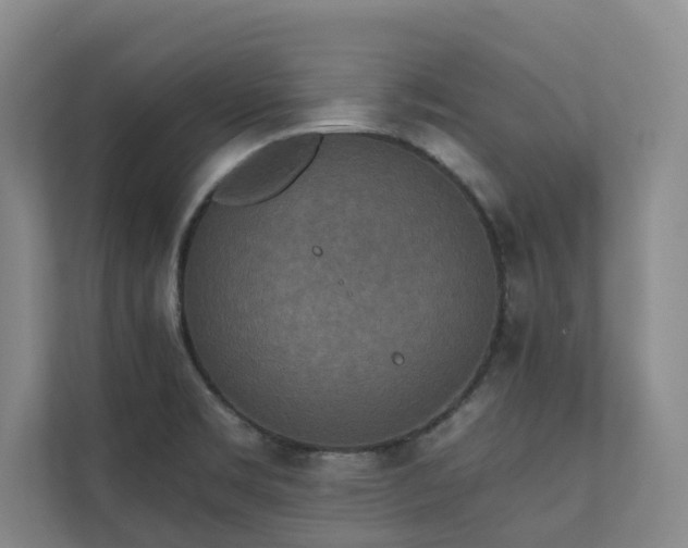 X0000110761469200906151256