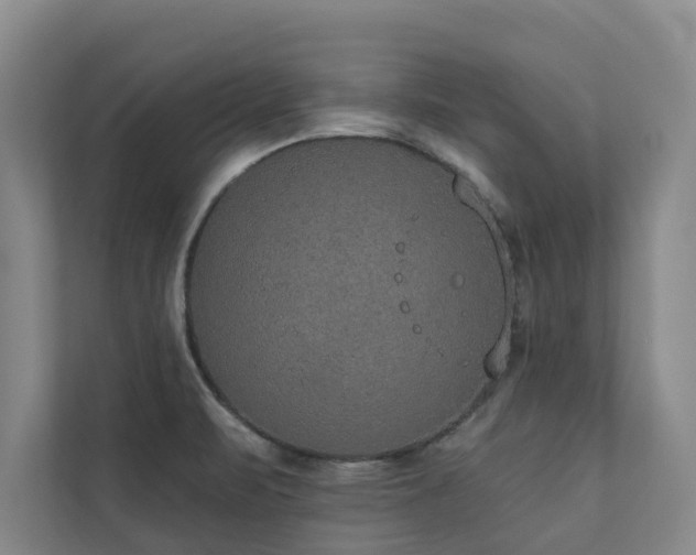 X0000110761471200906151256