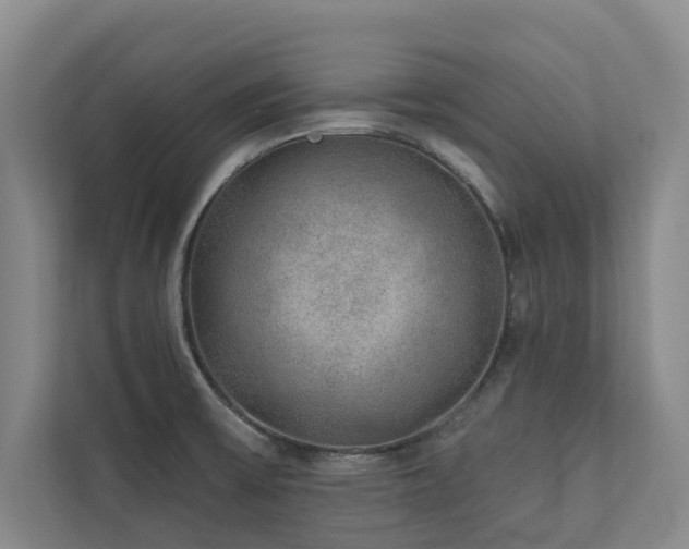 X0000110761475200906151256