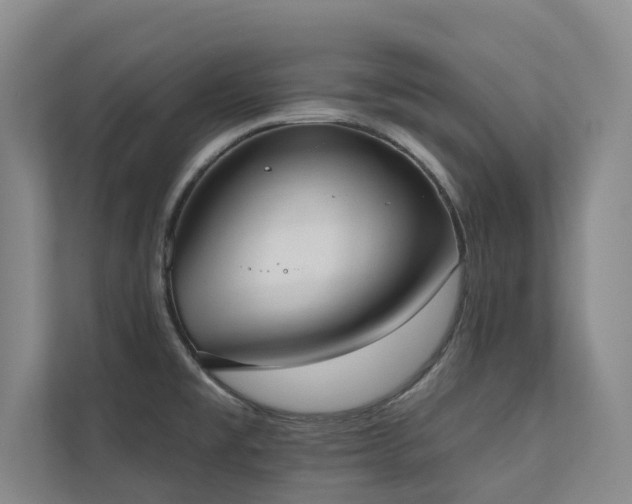 X0000110761477200906151256
