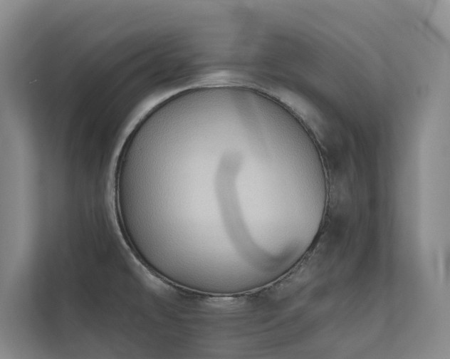 X0000110761478200906151256