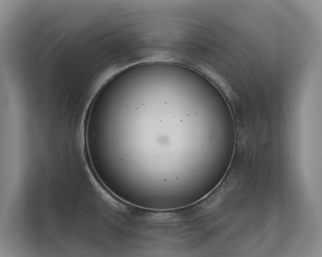 X0000110761479200906151256