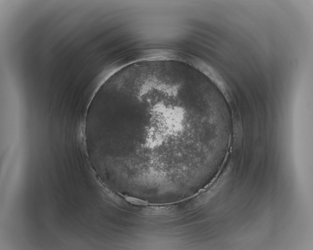 X0000110761481200906151256