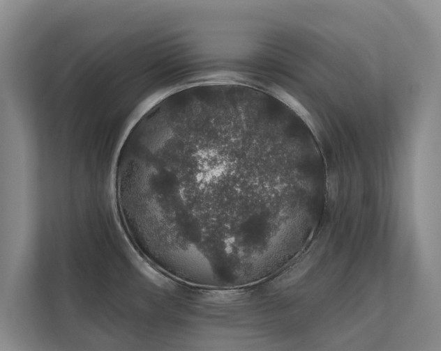 X0000110761482200906151256