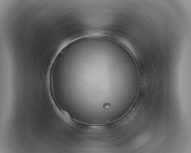 X0000110761483200906151256