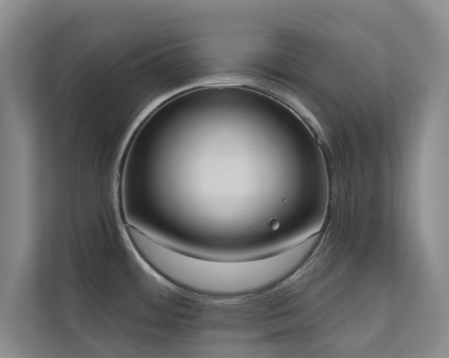 X0000110761484200906151256