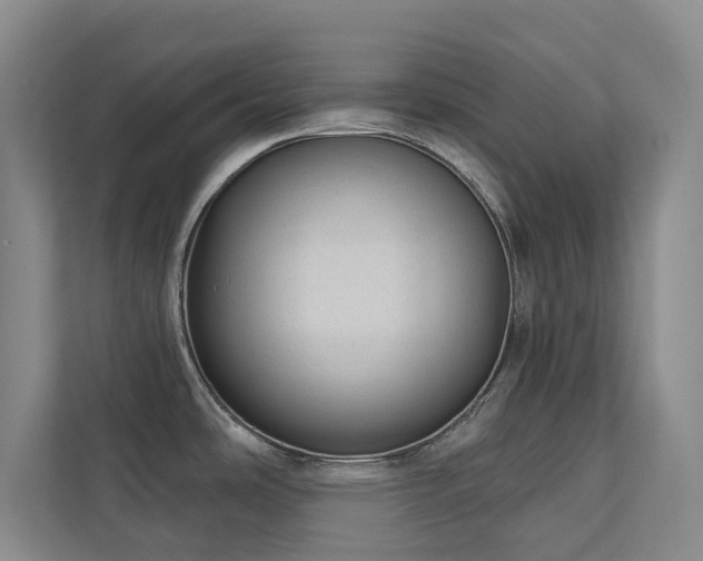 X0000110761486200906151256