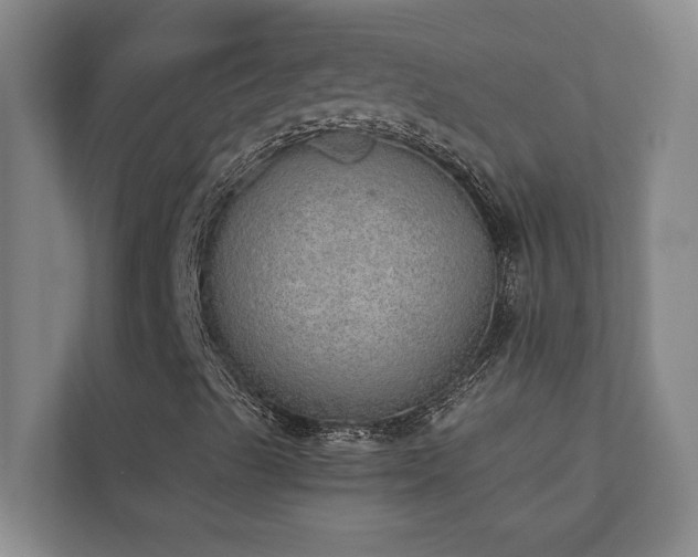 X0000110761489200906151255