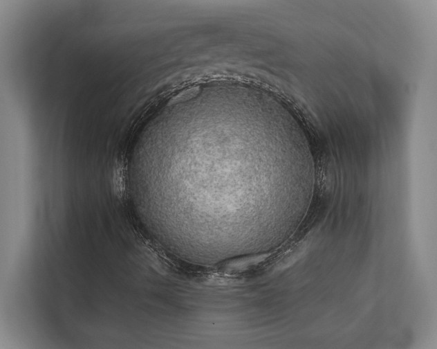 X0000110761490200906151255