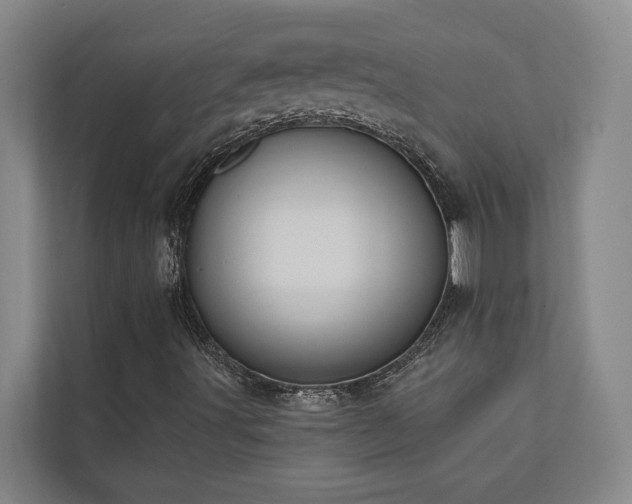 X0000110761491200906151255