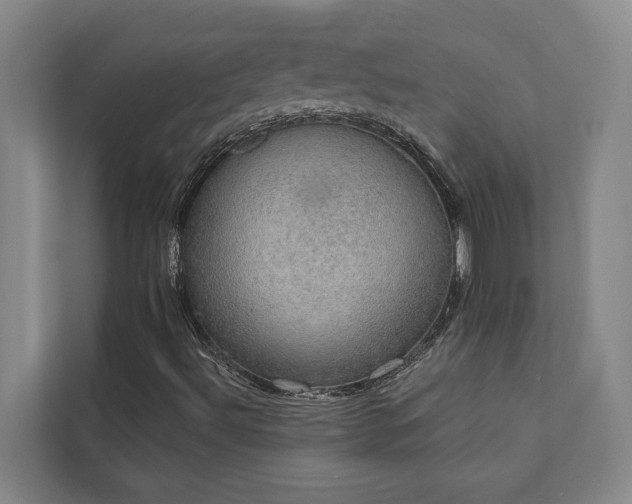 X0000110761492200906151255