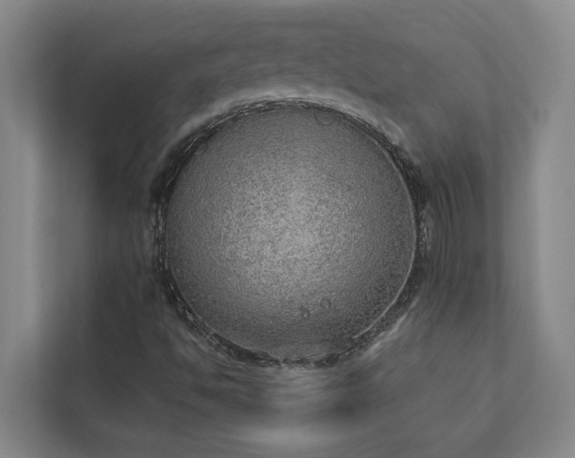 X0000110761494200906151255