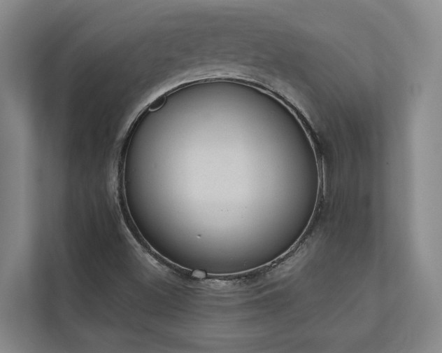 X0000110761500200906151255
