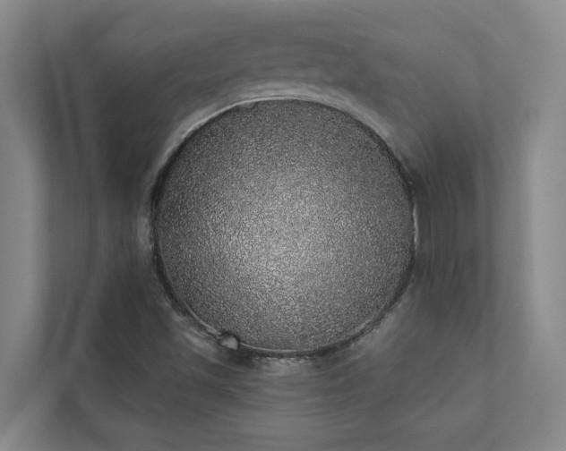 X0000110761501200906151255