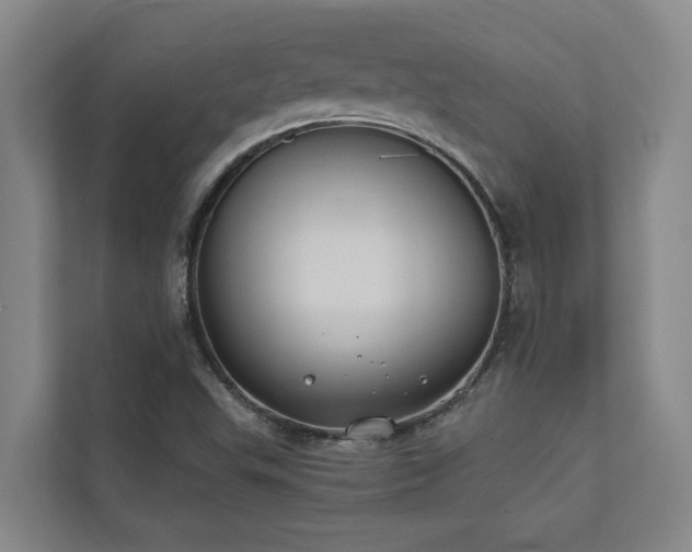 X0000110761503200906151255