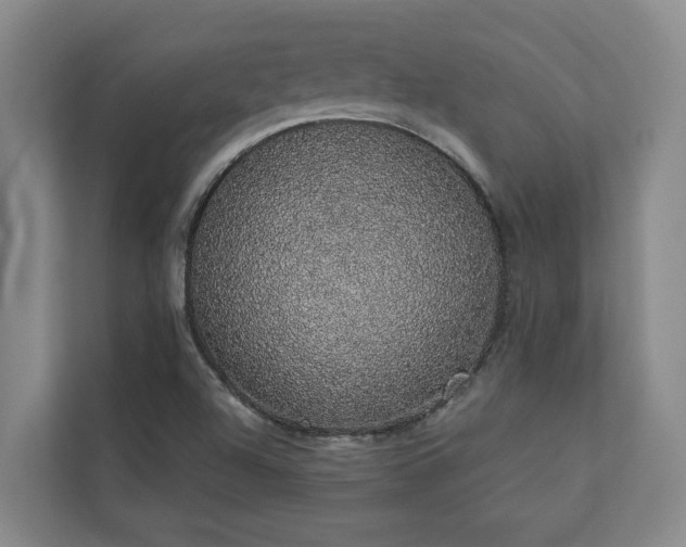 X0000110761504200906151255