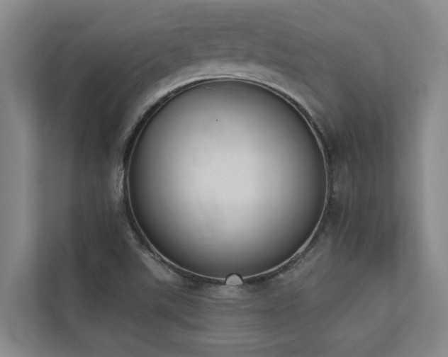 X0000110761507200906151255