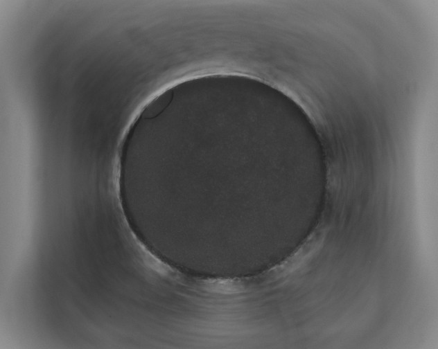 X0000110761508200906151255