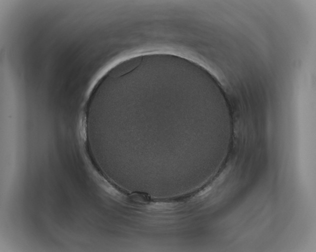 X0000110761510200906151255
