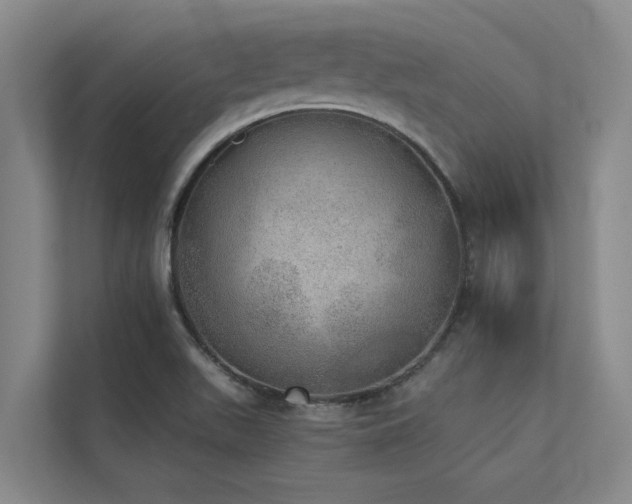 X0000110761511200906151255