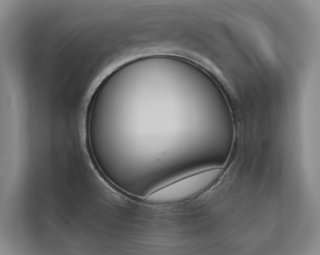X0000110761512200906151255