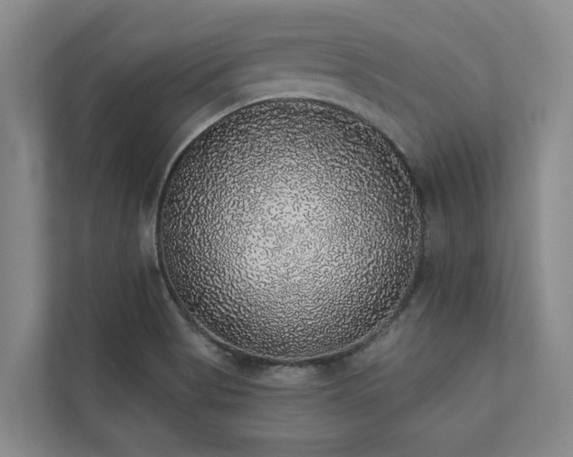 X0000110761513200906151255