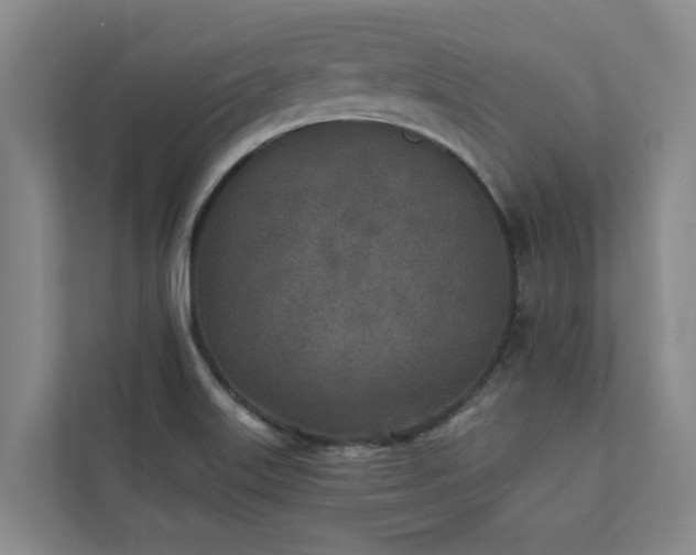 X0000110761515200906151255