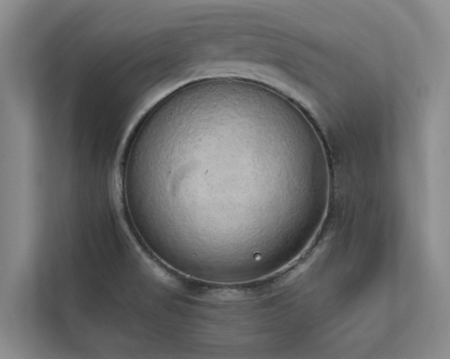 X0000110761517200906151255