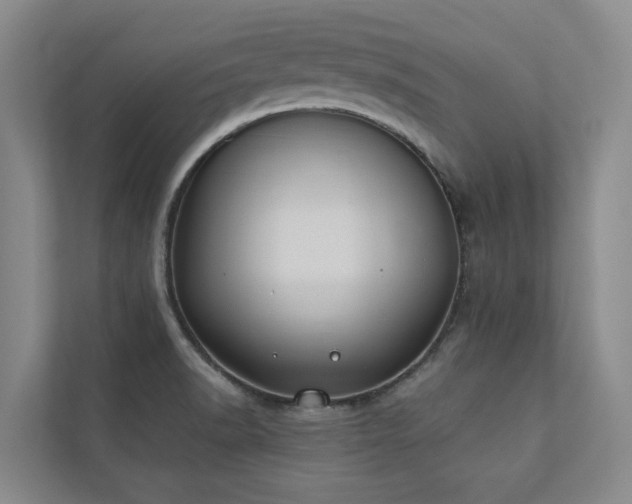 X0000110761518200906151255