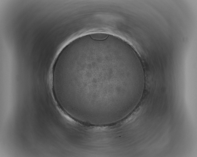 X0000110761519200906151255