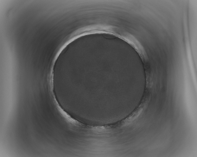 X0000110761524200906151255
