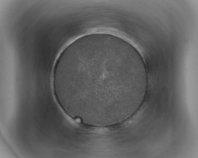 X0000110761525200906151255