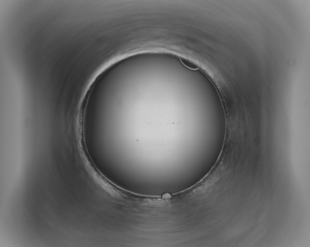 X0000110761526200906151255