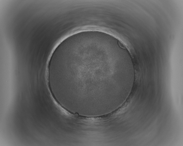 X0000110761527200906151255