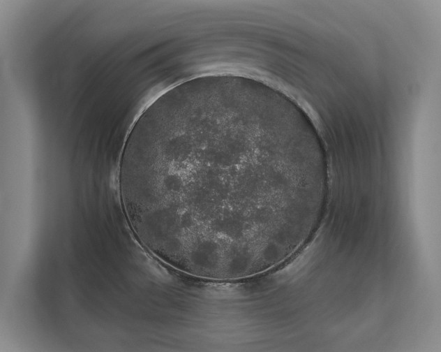 X0000110761529200906151255