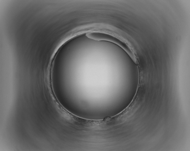 X0000110761530200906151255