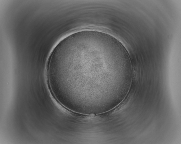 X0000110761531200906151255