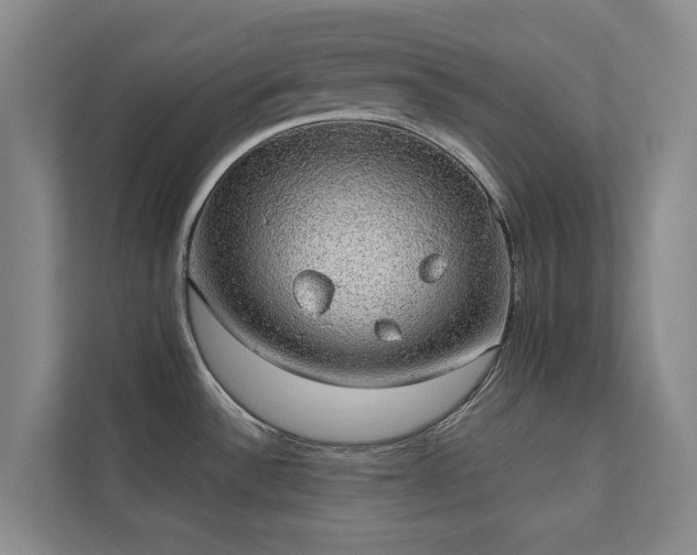 X0000110761532200906151255