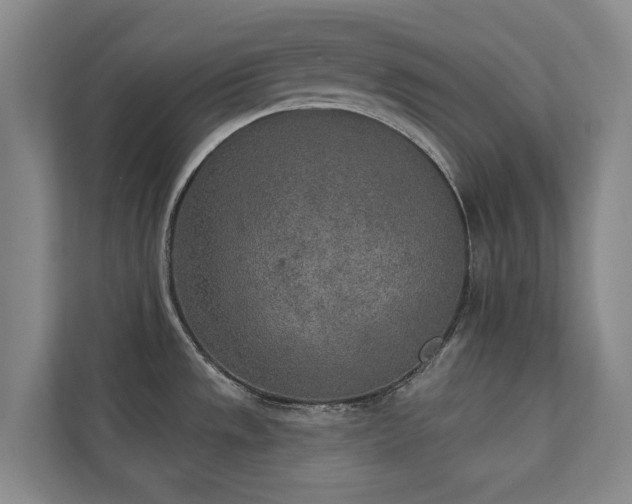 X0000110761533200906151256
