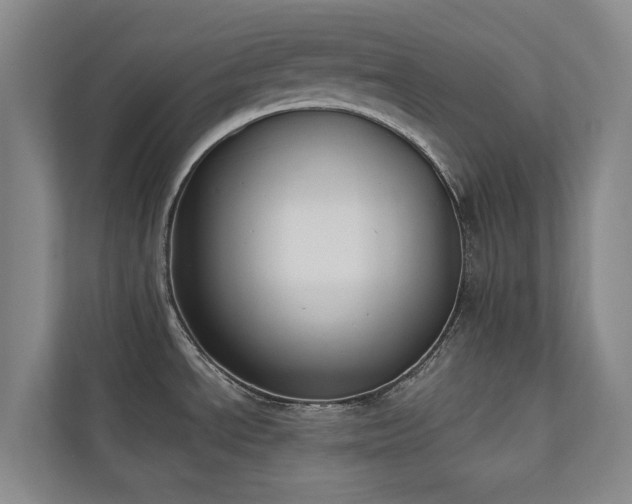 X0000110761534200906151256