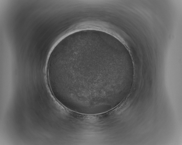 X0000110761536200906151256