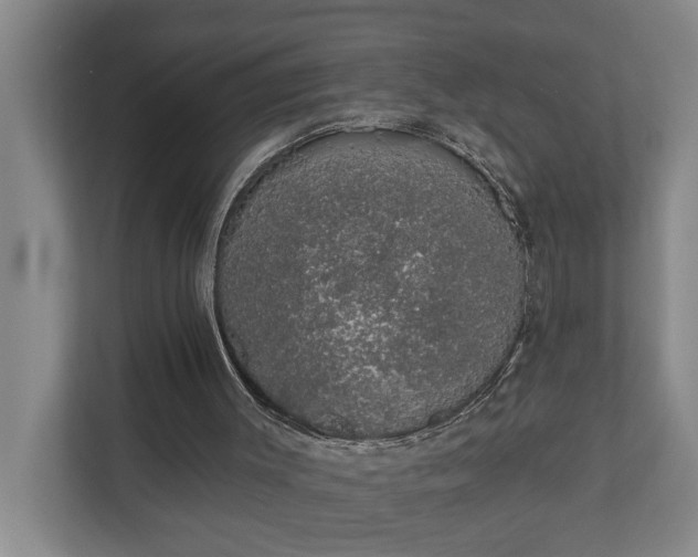 X0000110760003200906221131